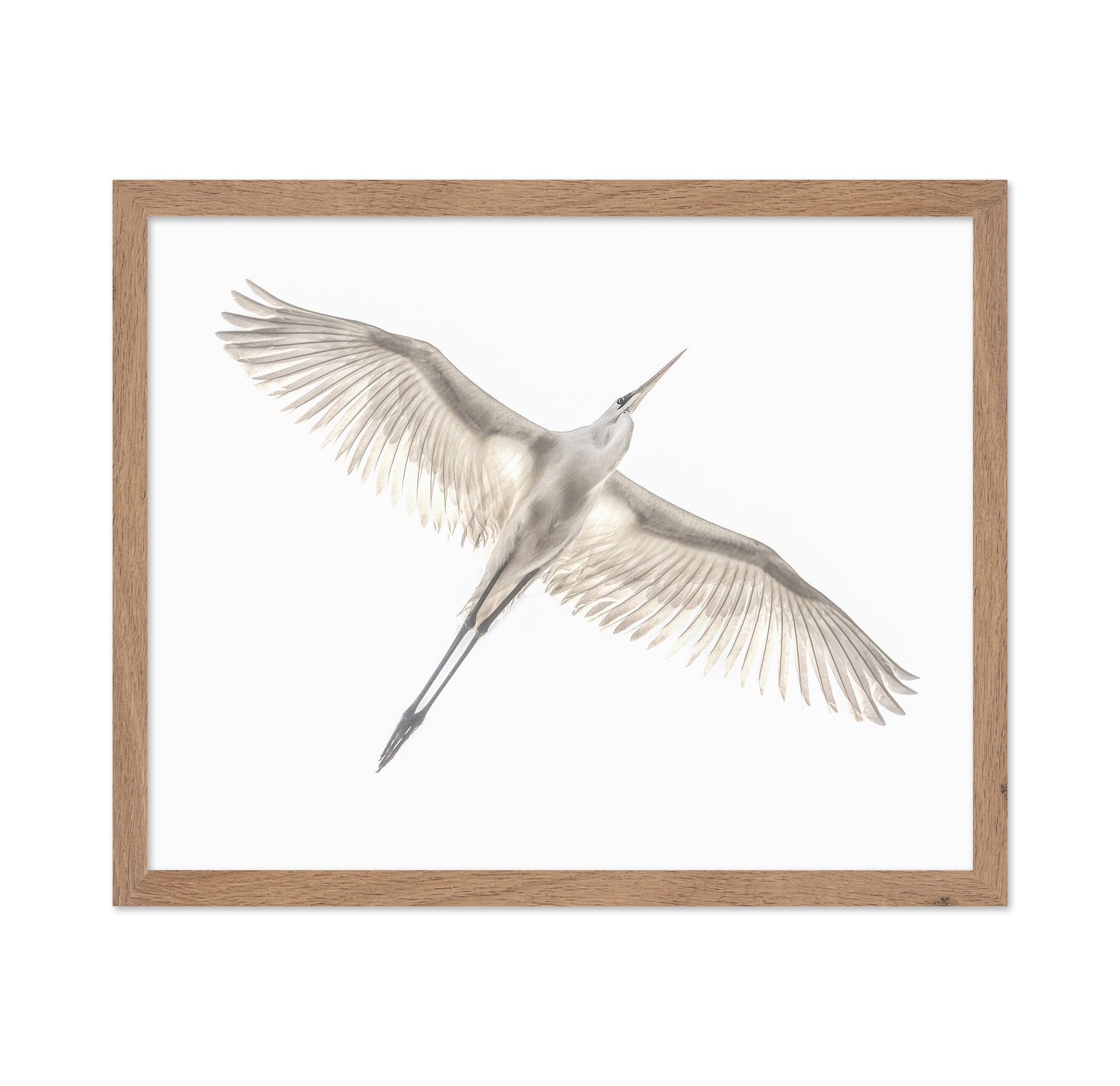 Fly