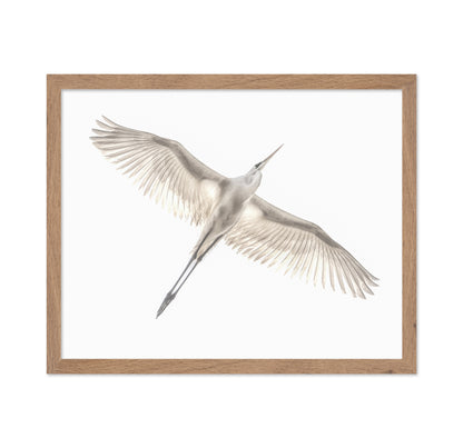 Fly