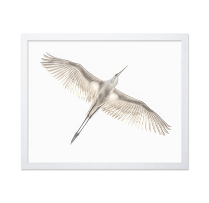 Fly