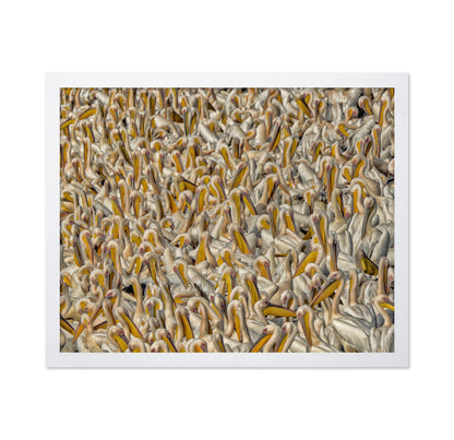 Crowded