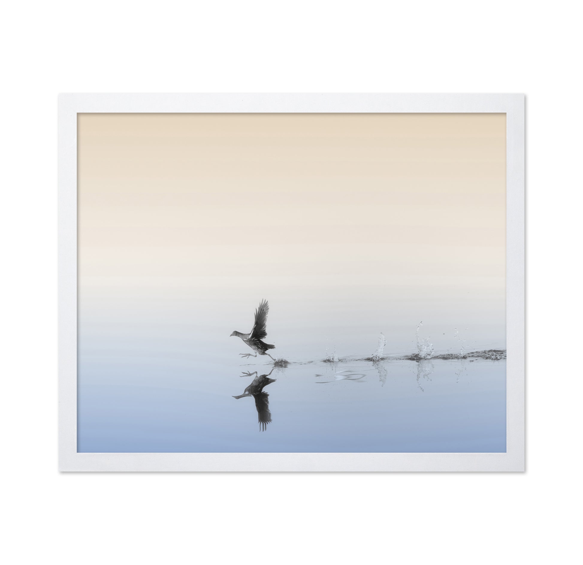 Taking Flight