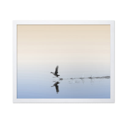 Taking Flight