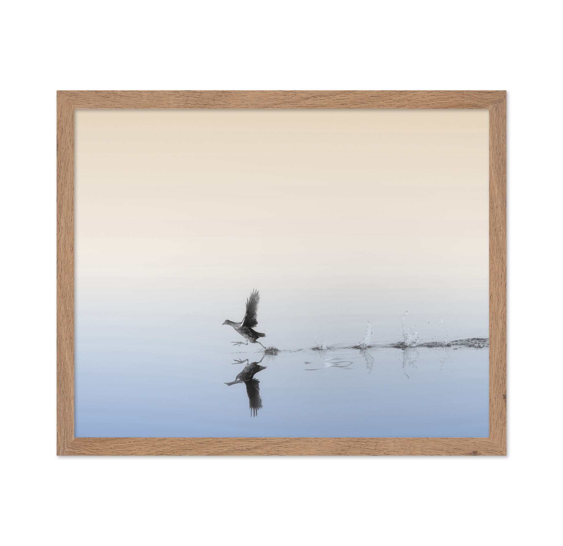 Taking Flight