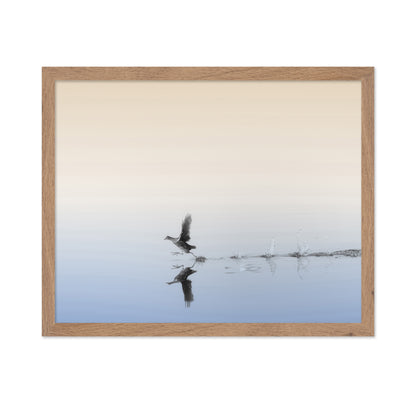 Taking Flight