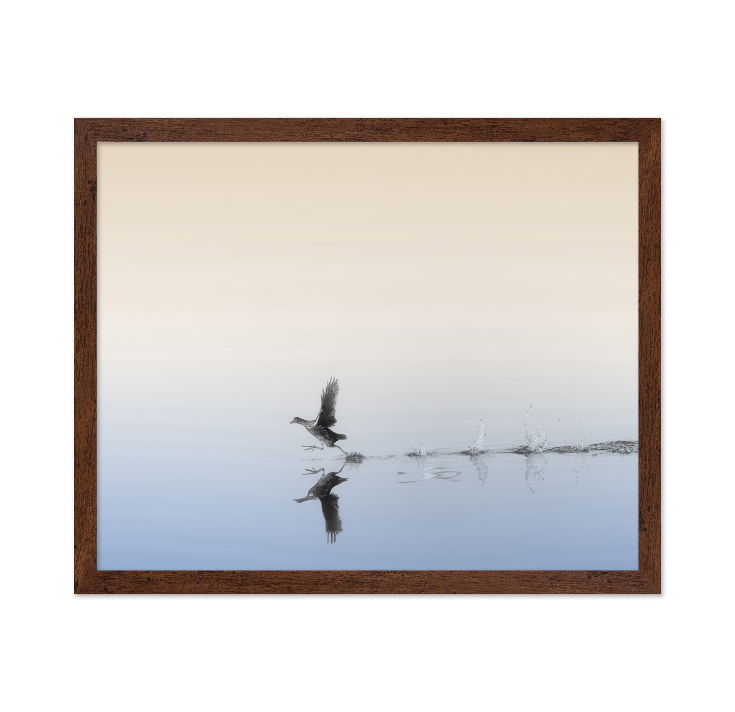 Taking Flight