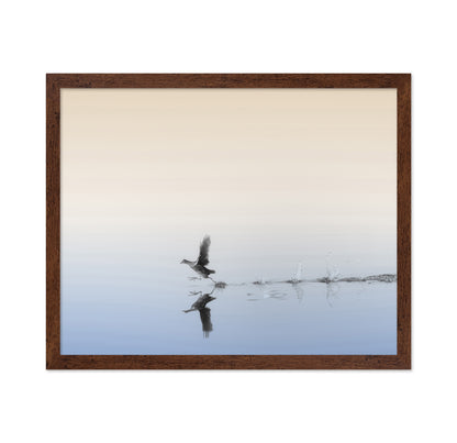 Taking Flight