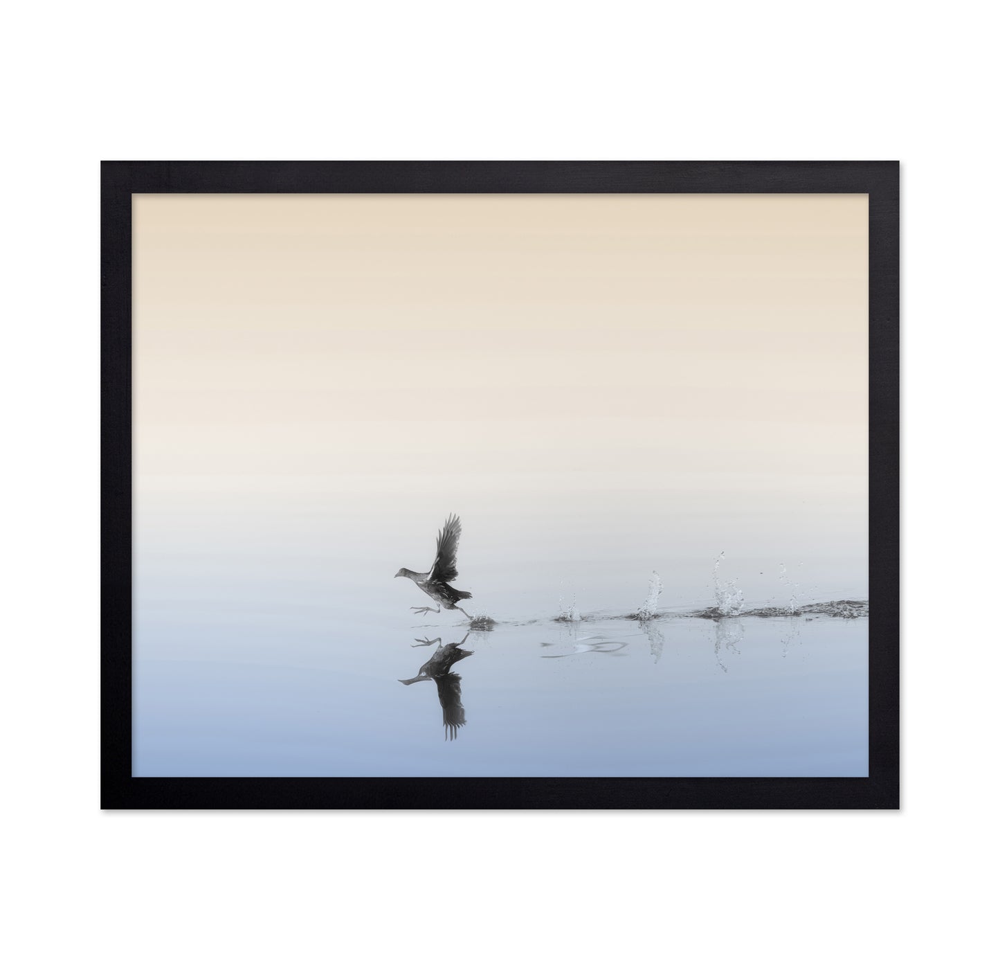 Taking Flight