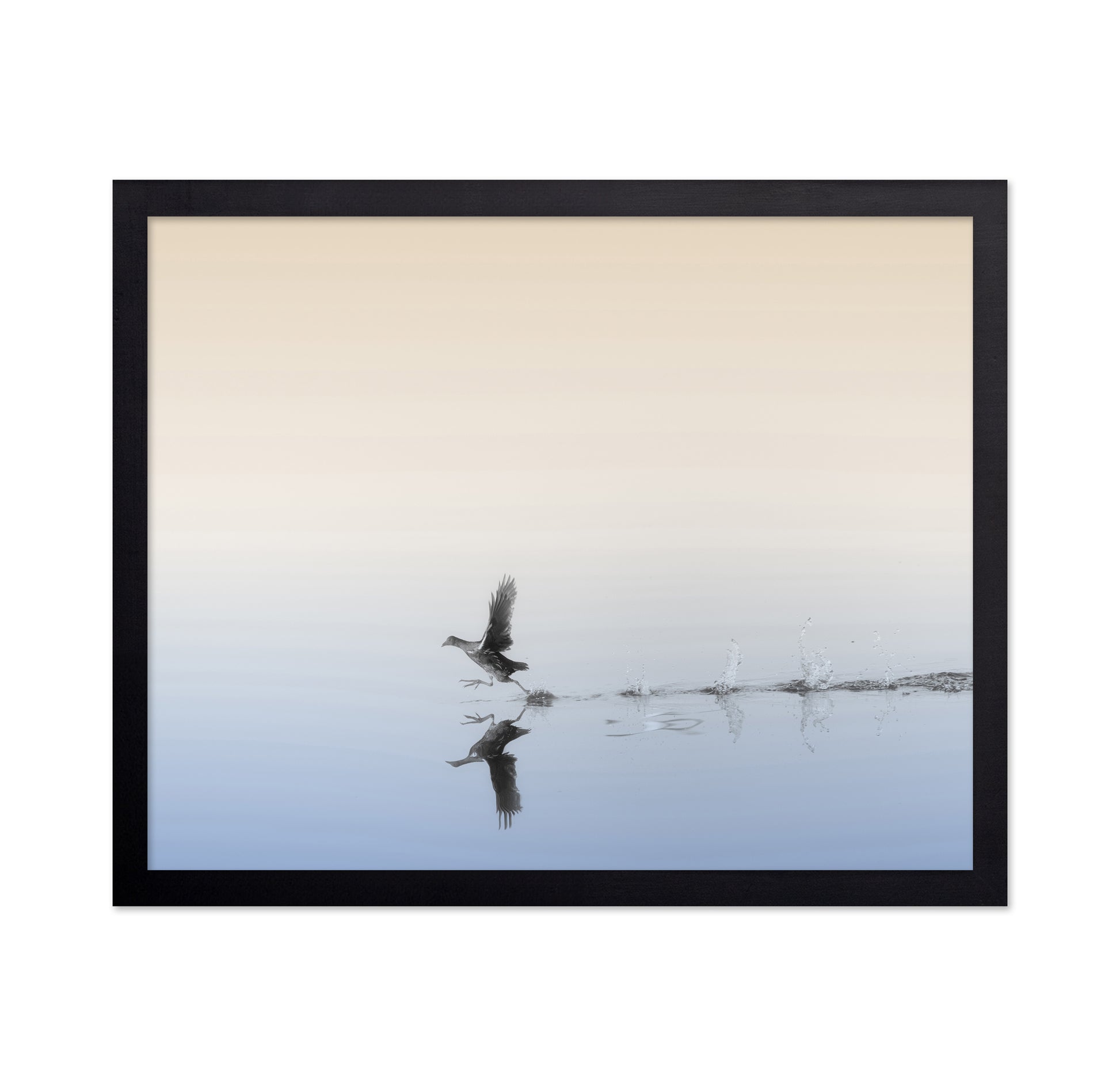 Taking Flight