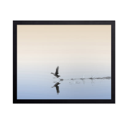 Taking Flight