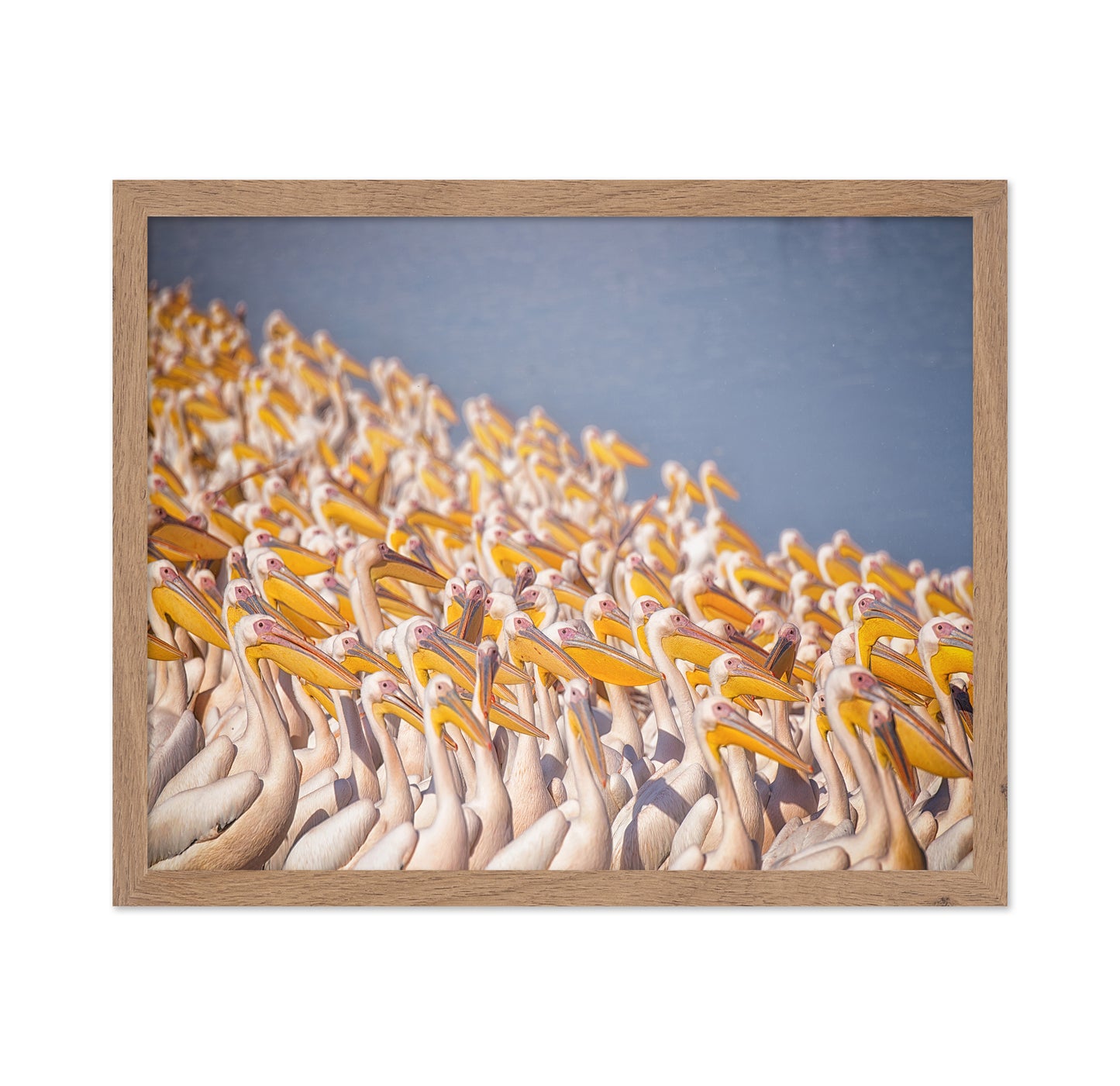The Great White Gathering