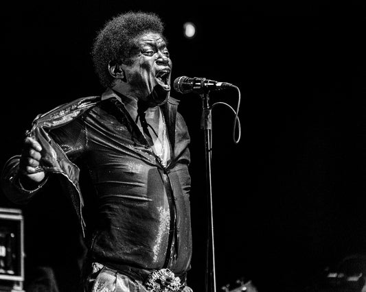 Charles Bradley In Memory
