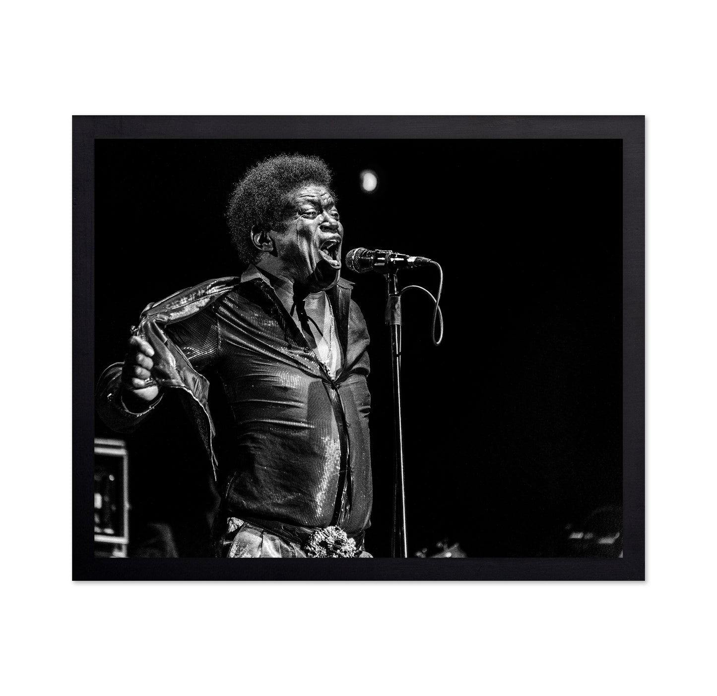 Charles Bradley In Memory