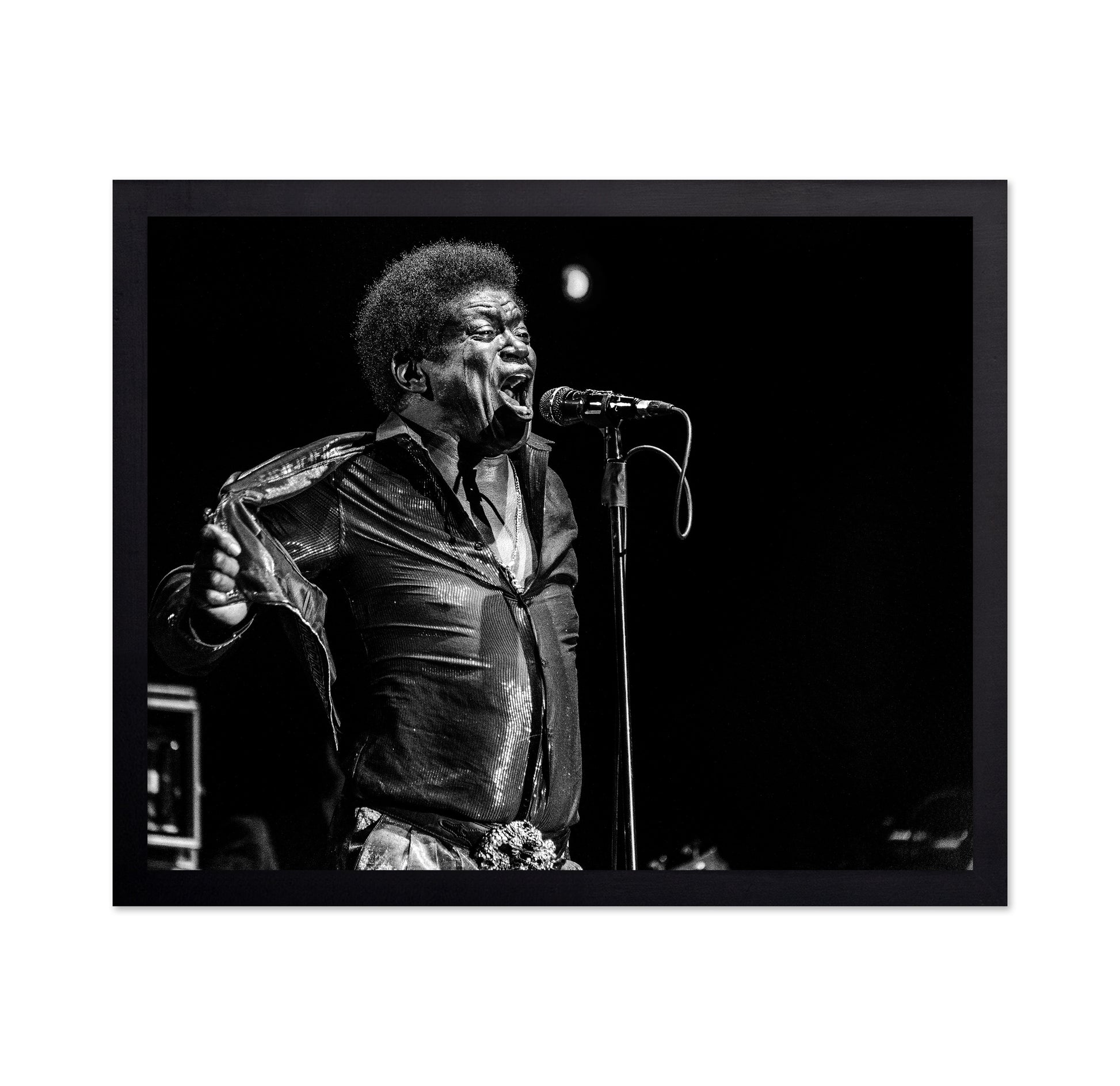 Charles Bradley In Memory