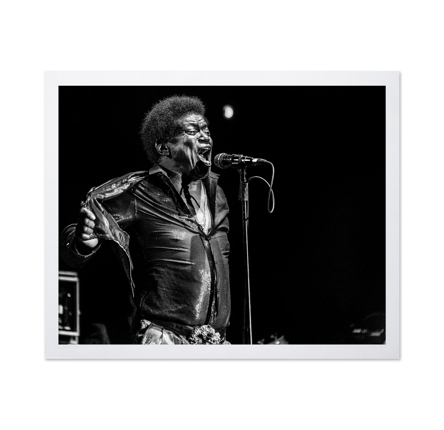 Charles Bradley In Memory