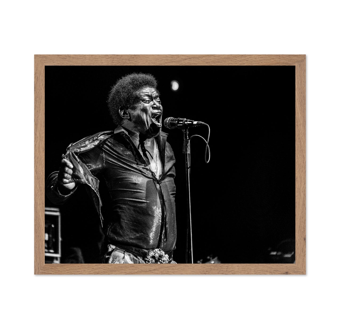 Charles Bradley In Memory
