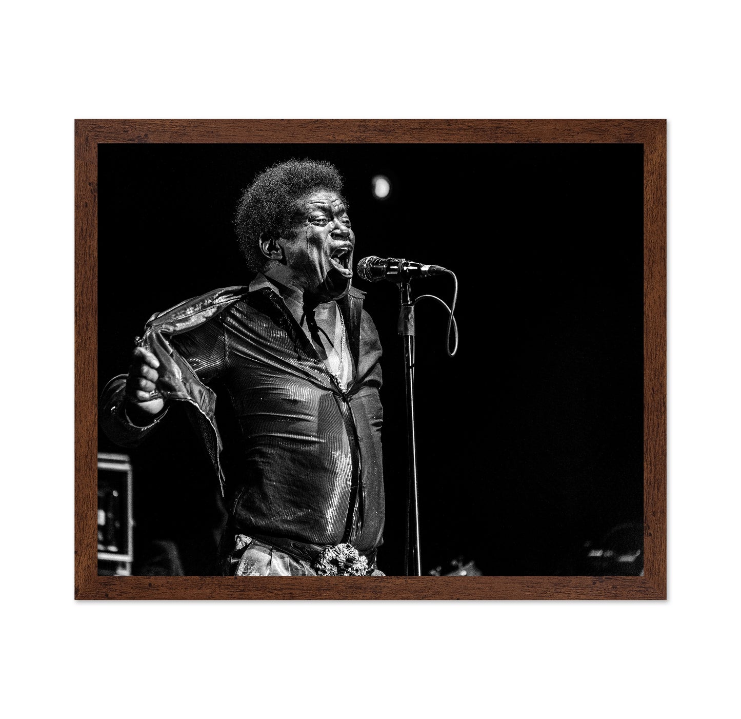 Charles Bradley In Memory
