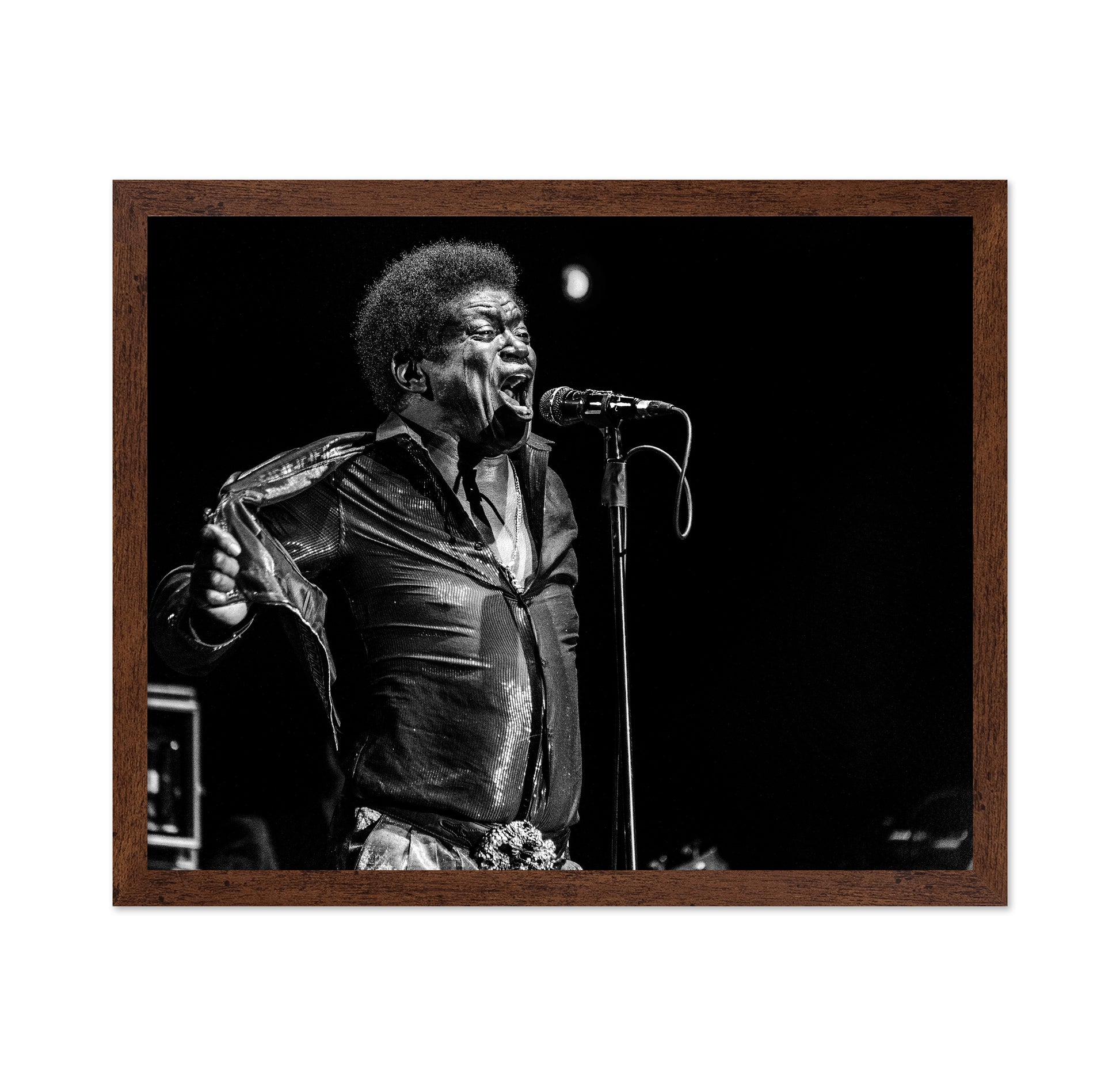 Charles Bradley In Memory