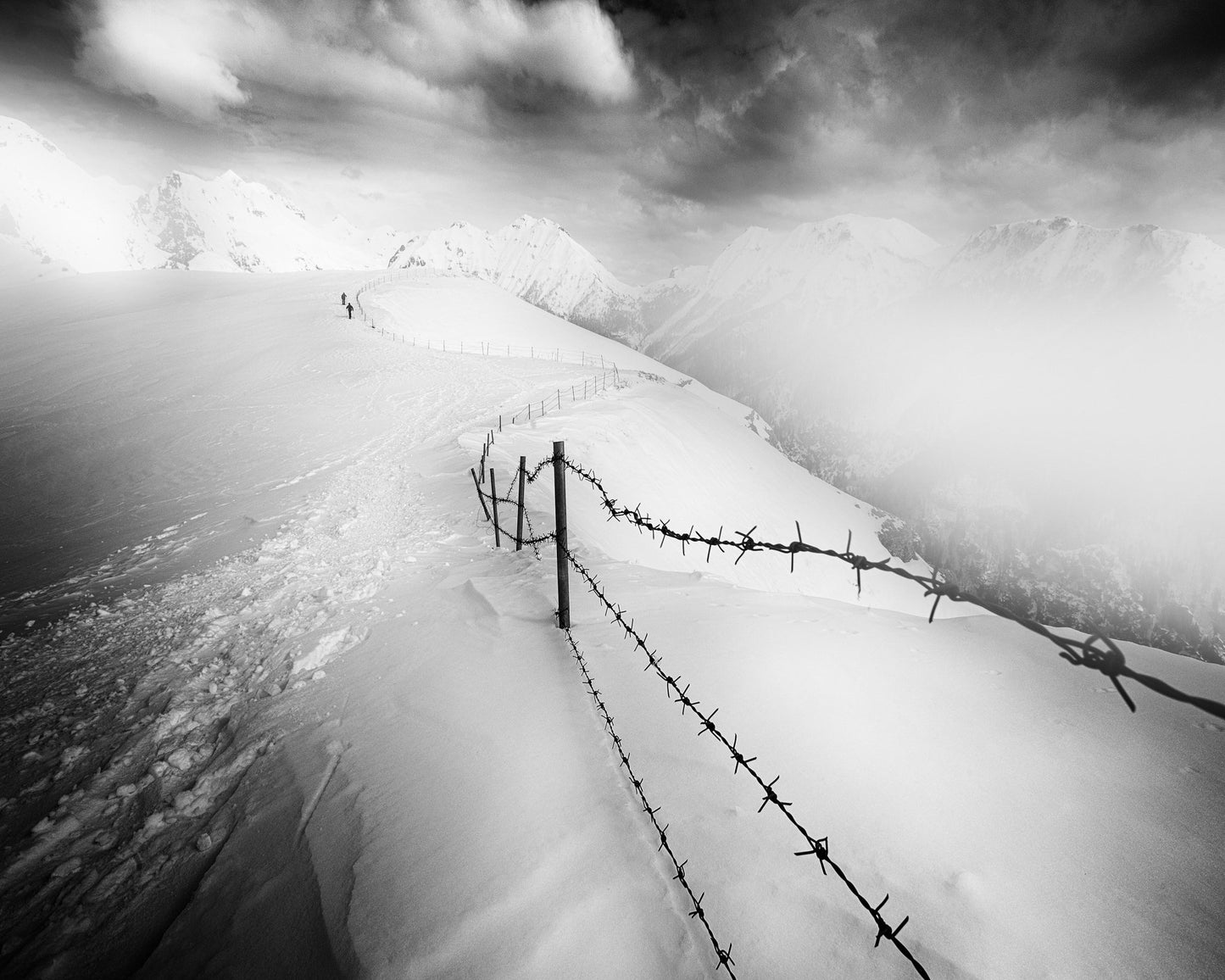 Into the White