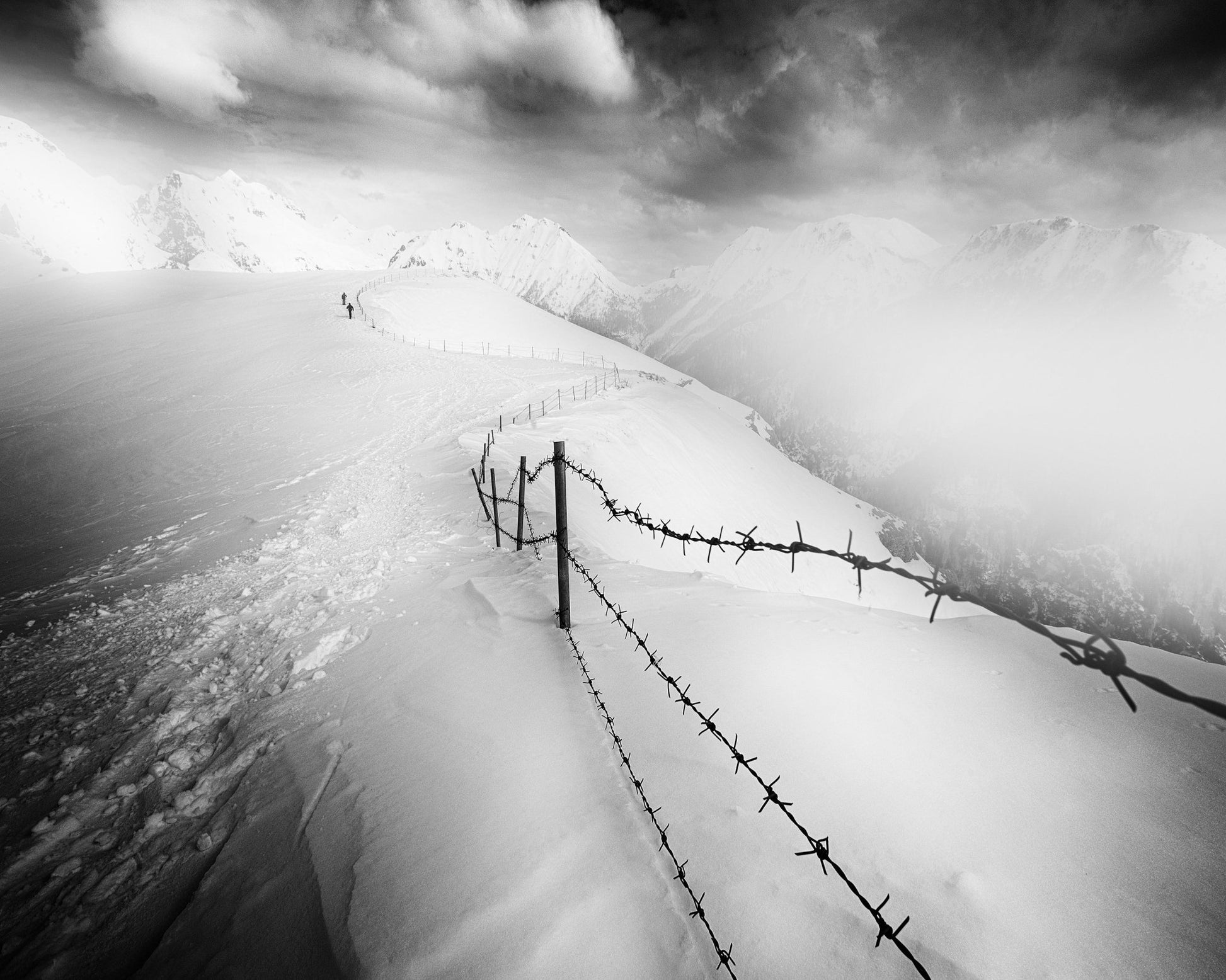 Into the White