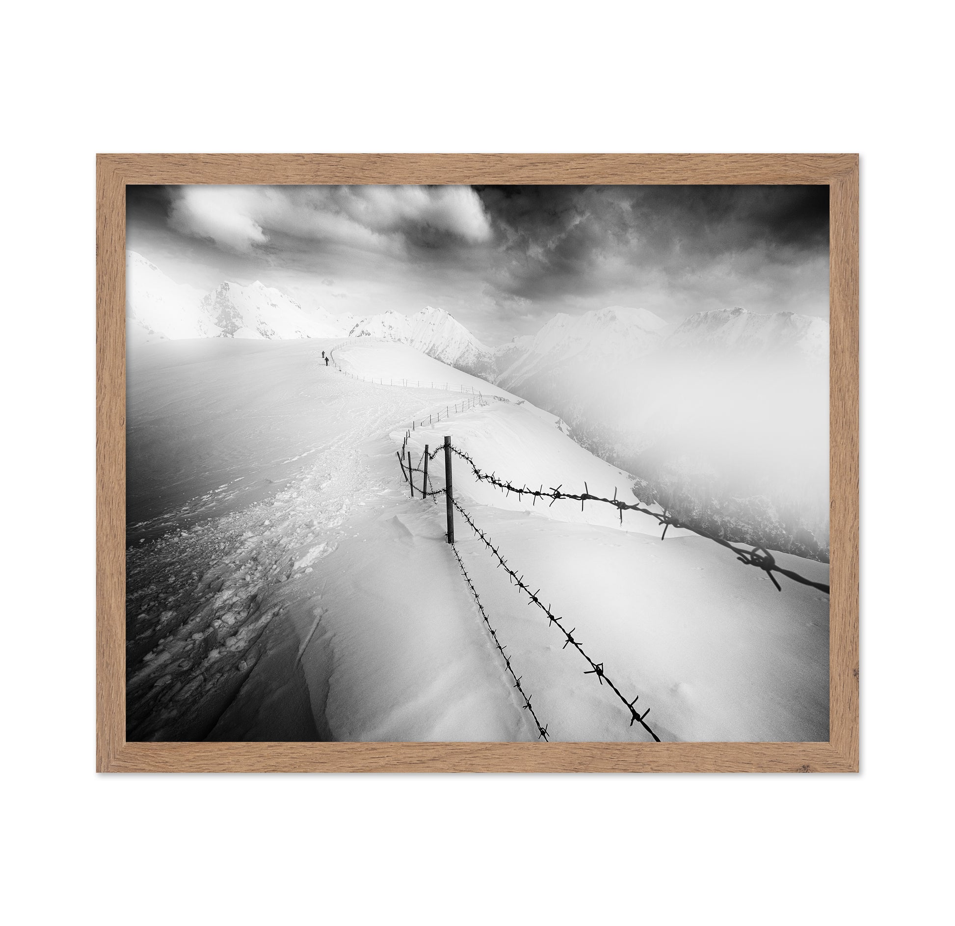 Into the White