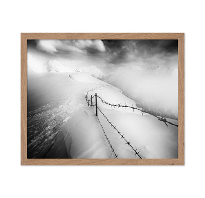 Into the White