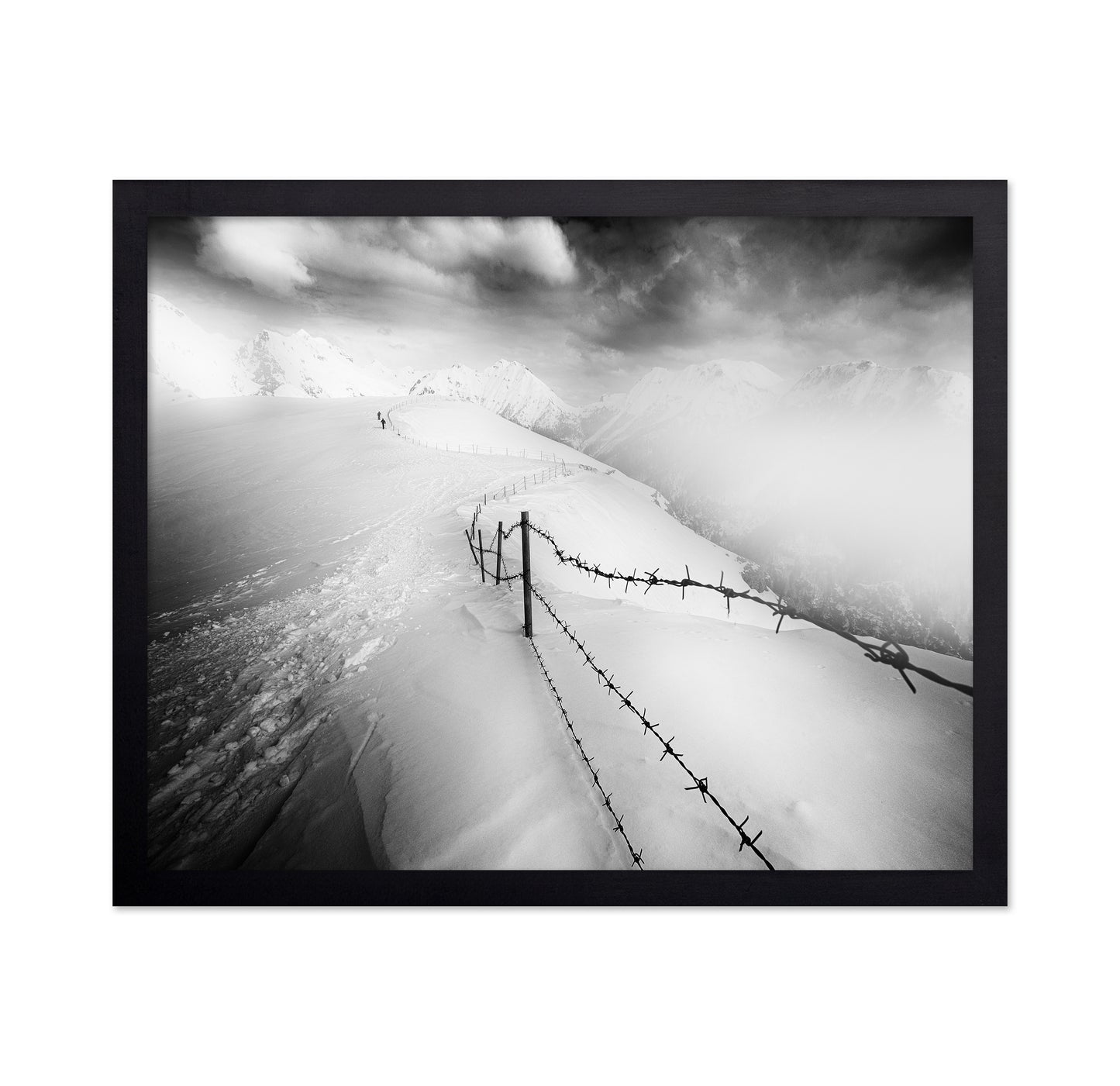Into the White