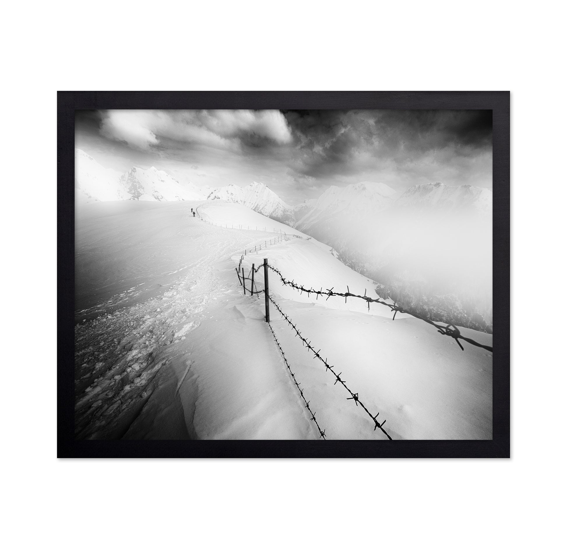 Into the White