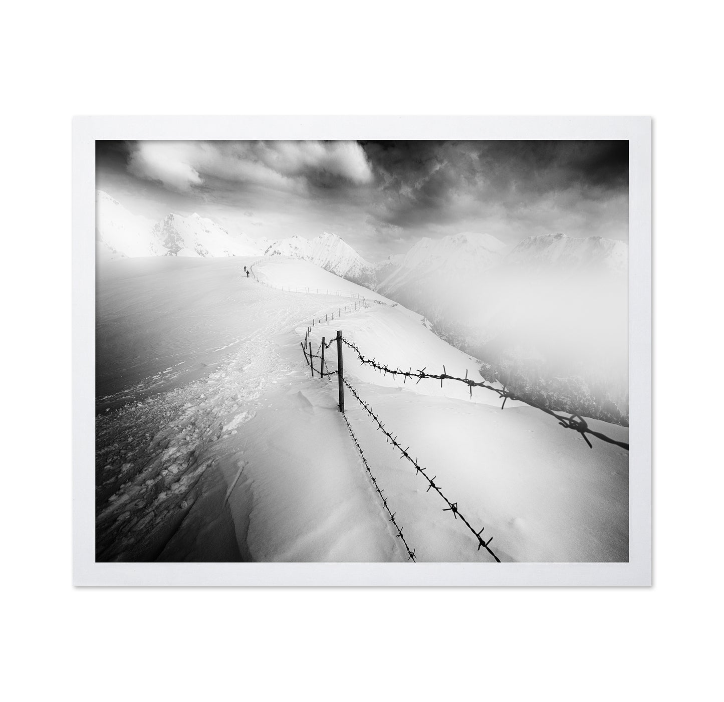 Into the White