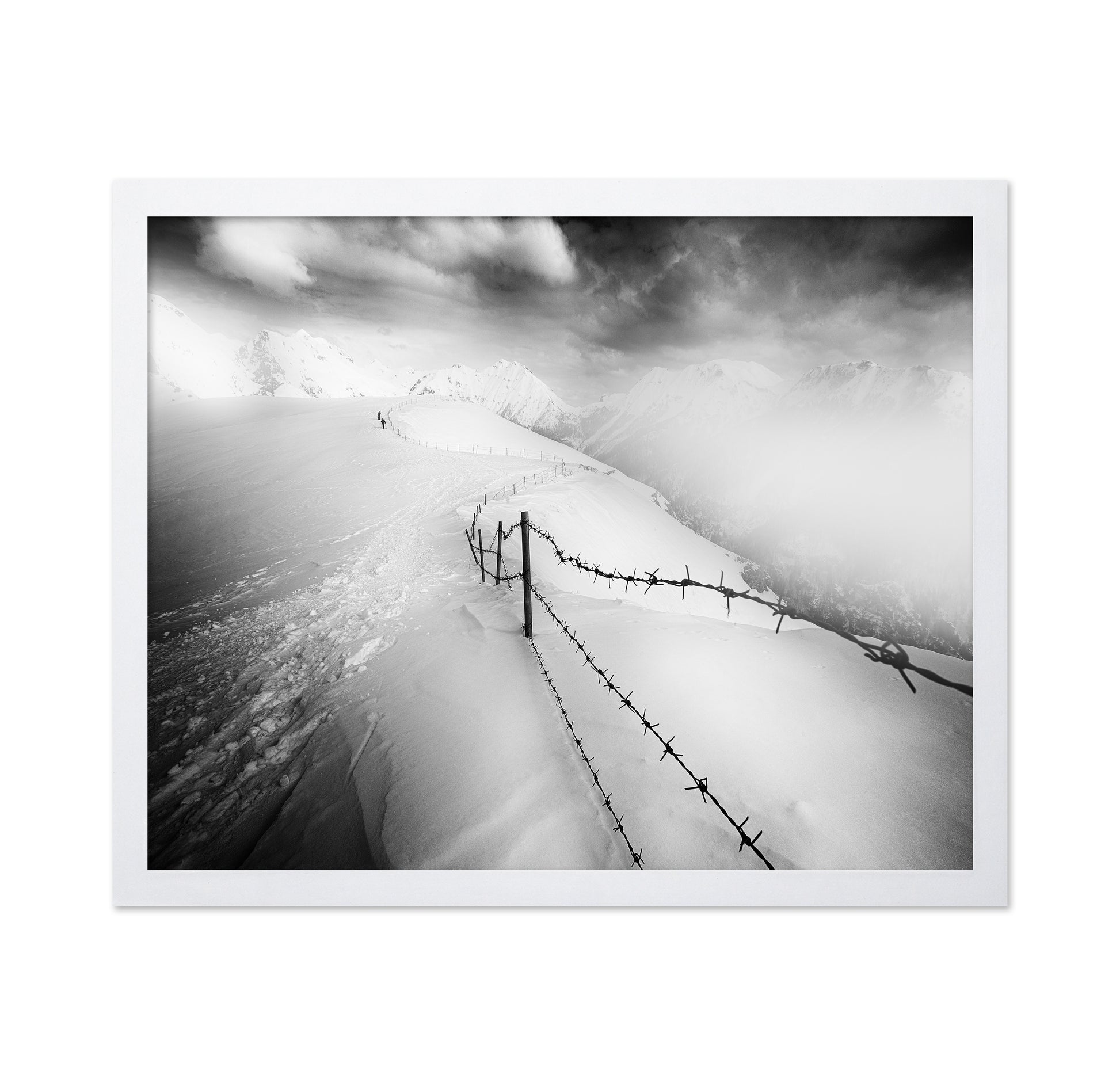 Into the White