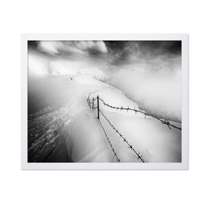 Into the White