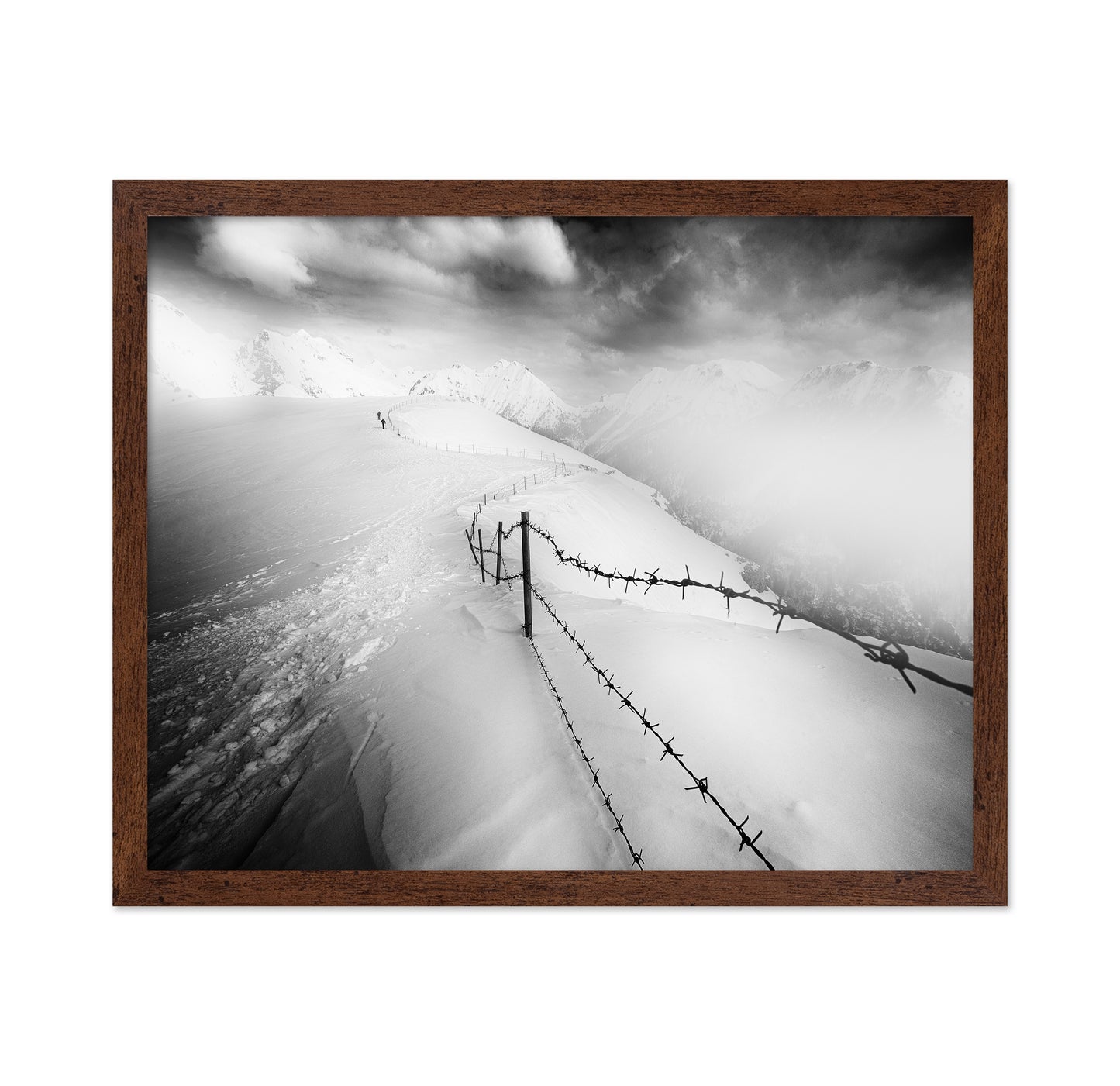 Into the White