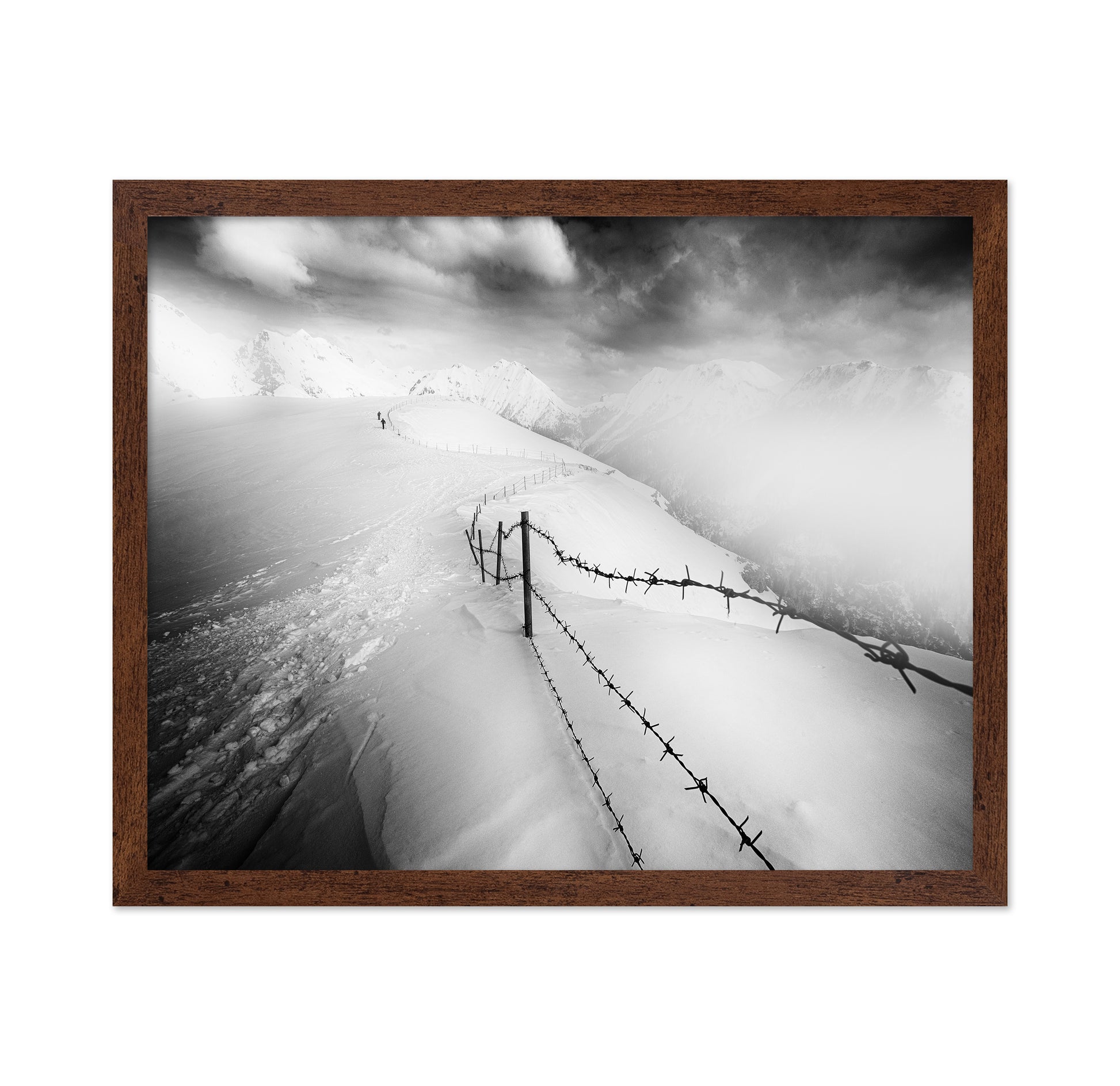 Into the White