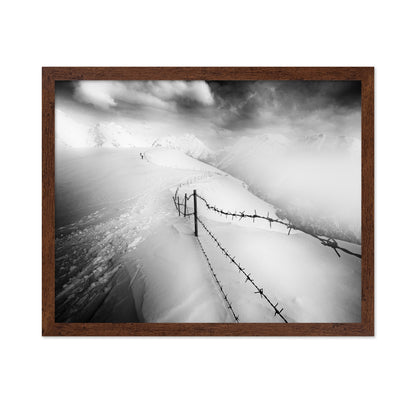 Into the White