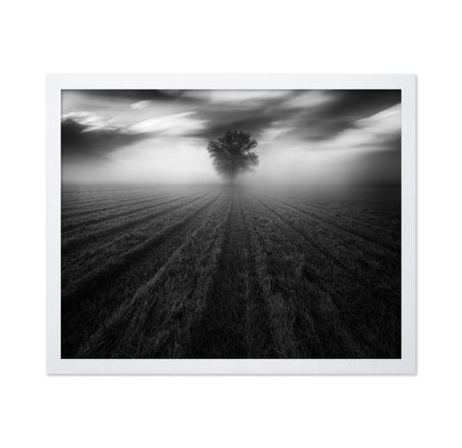 Lone Tree in the Mist