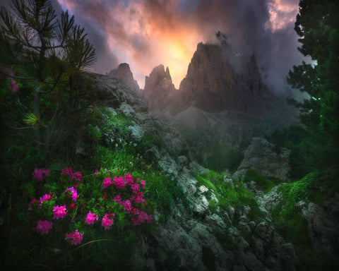 Gaeden Of Eden