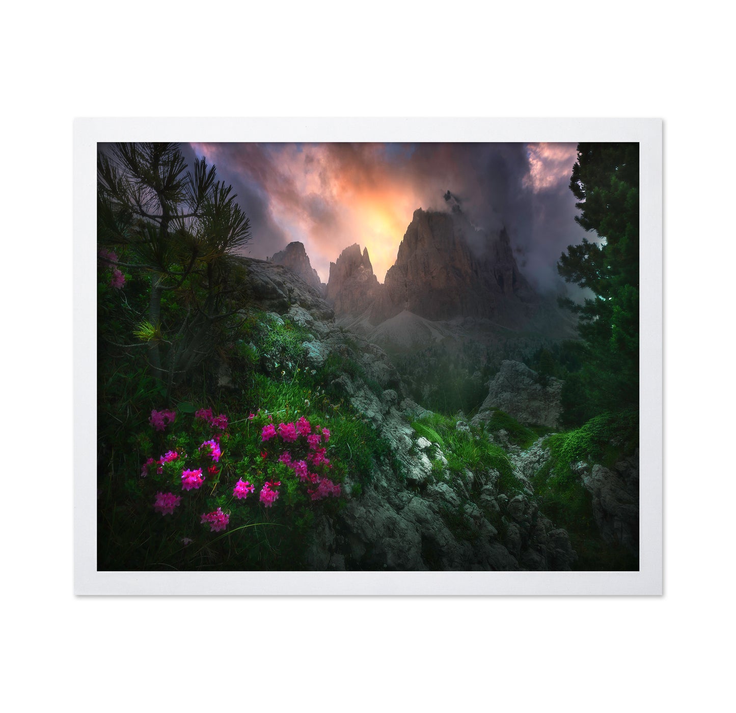 Gaeden Of Eden