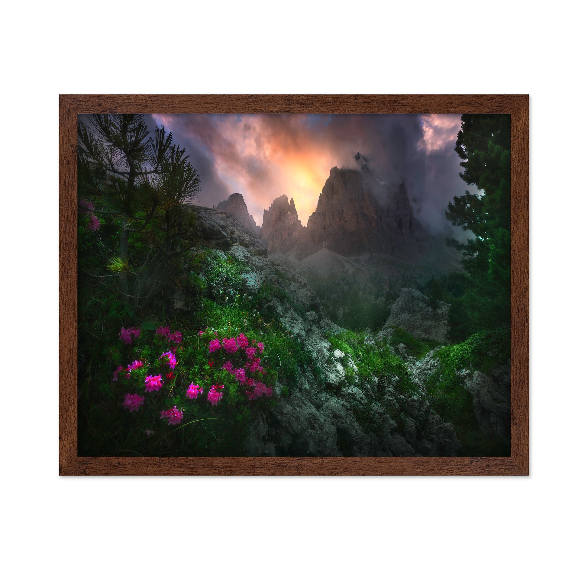Gaeden Of Eden
