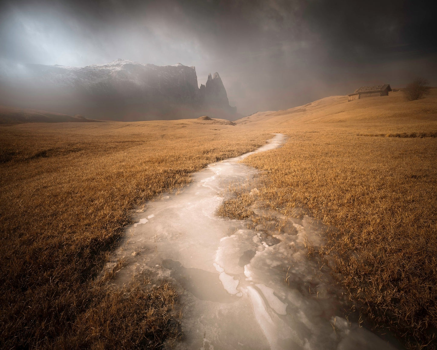 Icy Alpine Meadow