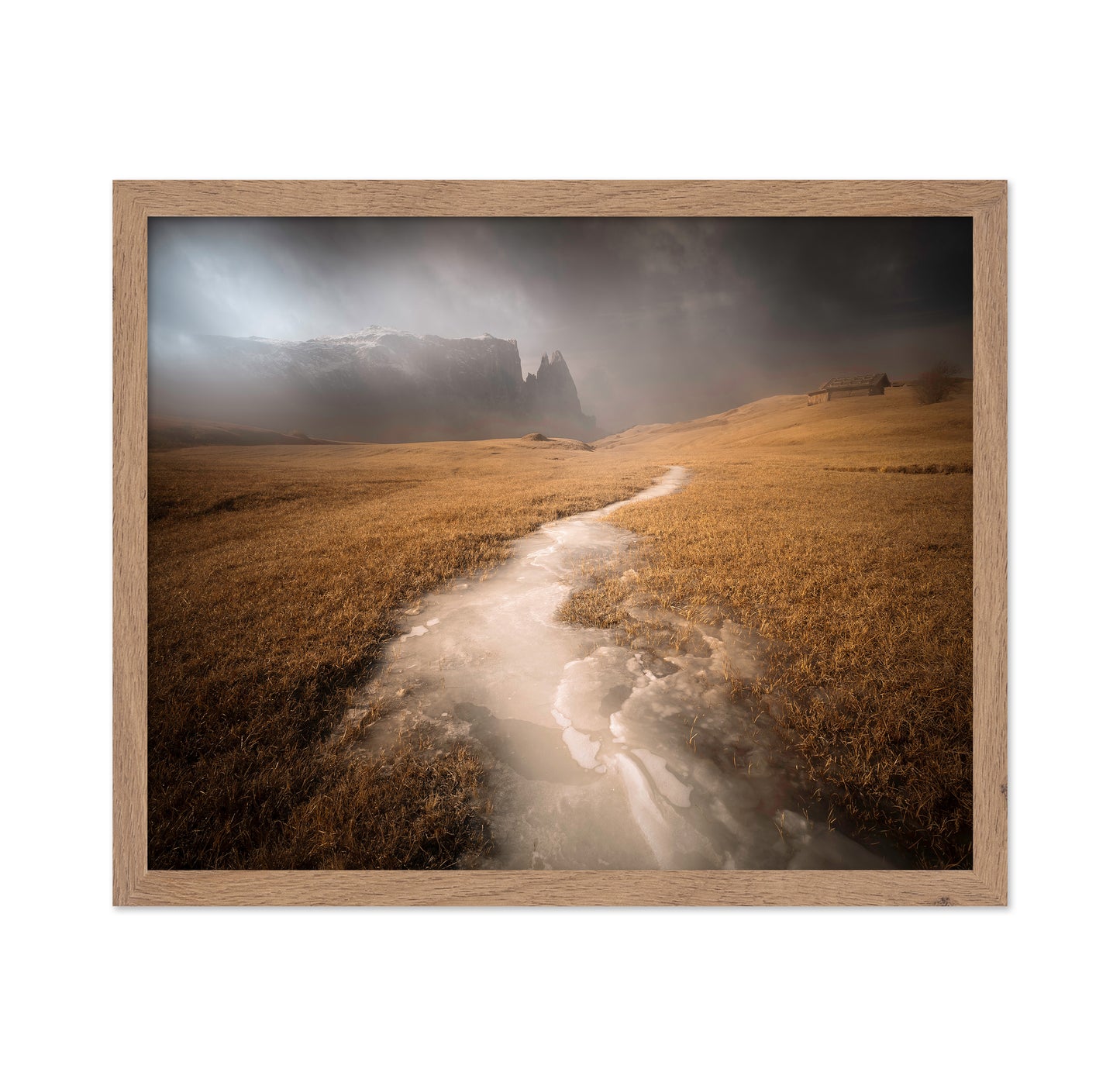 Icy Alpine Meadow