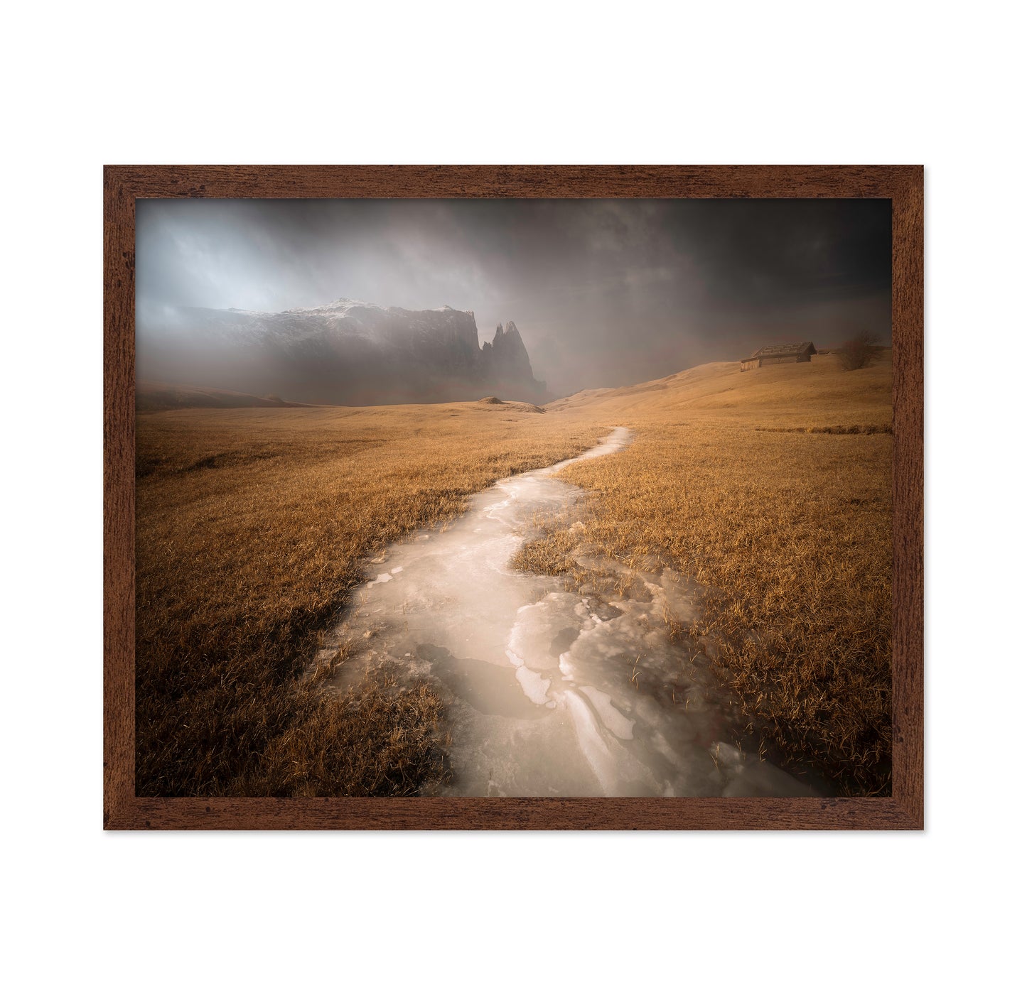 Icy Alpine Meadow