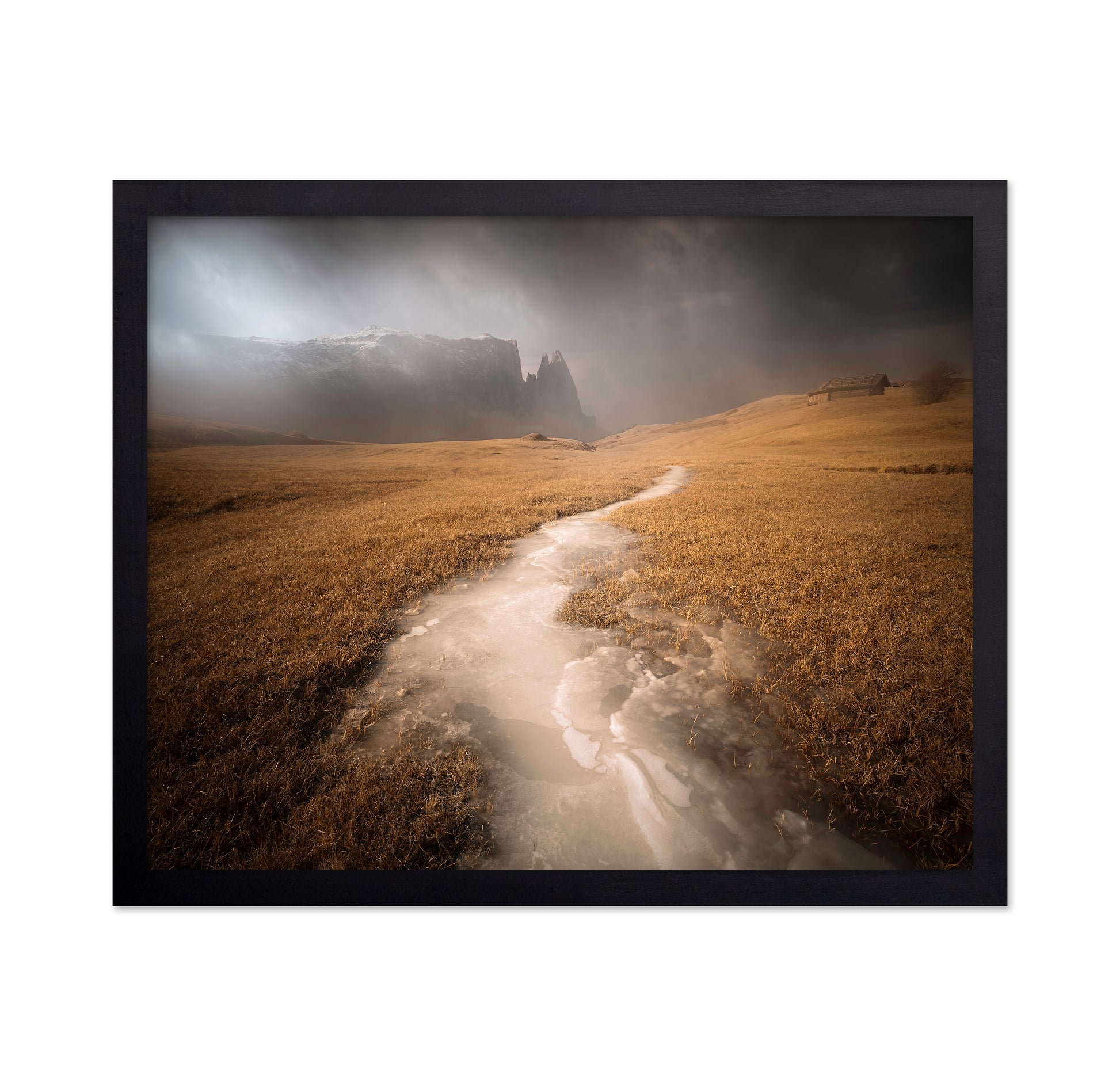 Icy Alpine Meadow