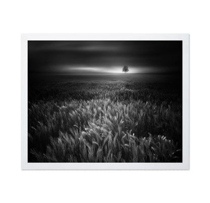 Bucolic Sunrises