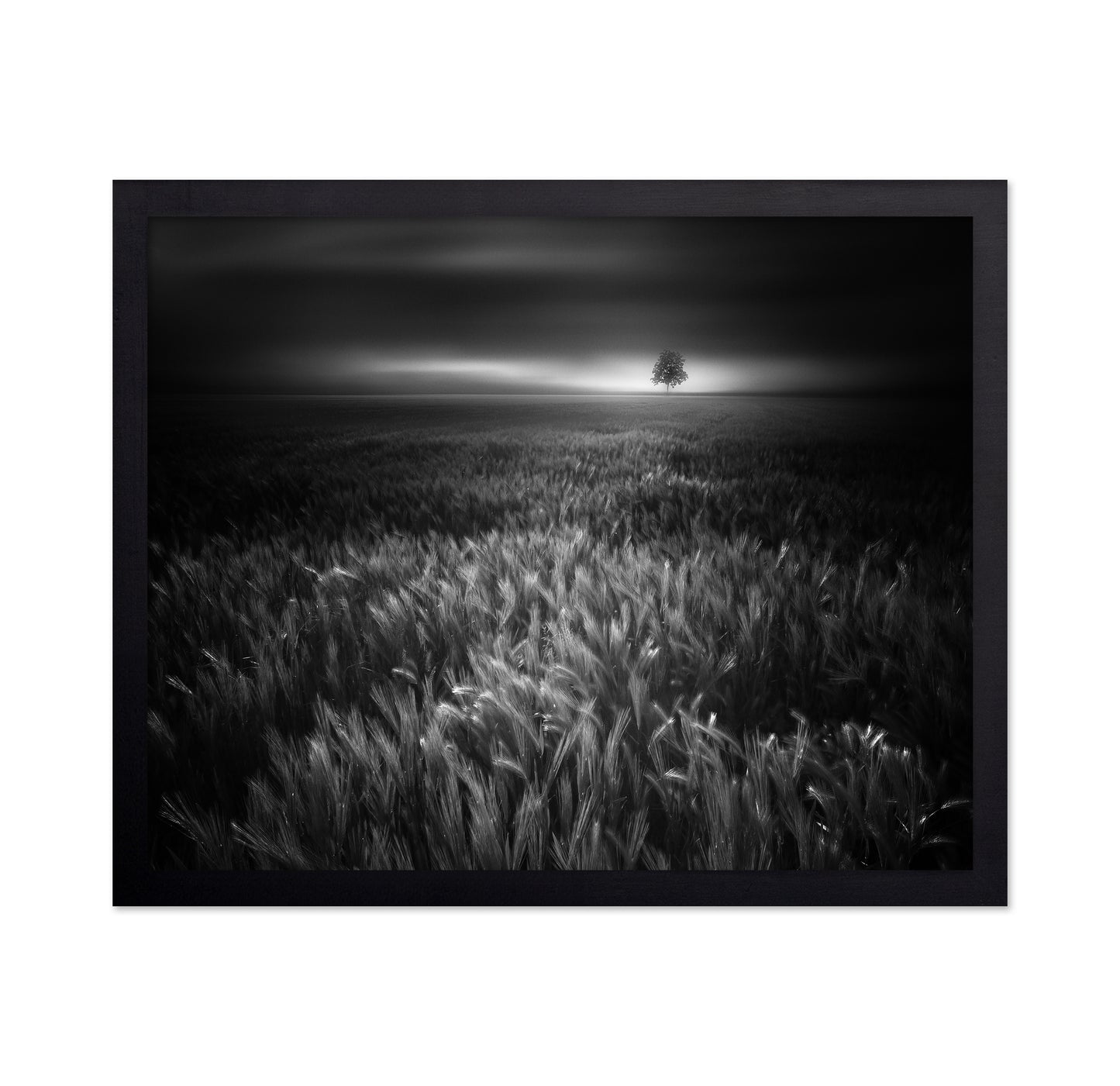 Bucolic Sunrises