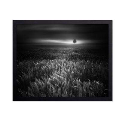 Bucolic Sunrises