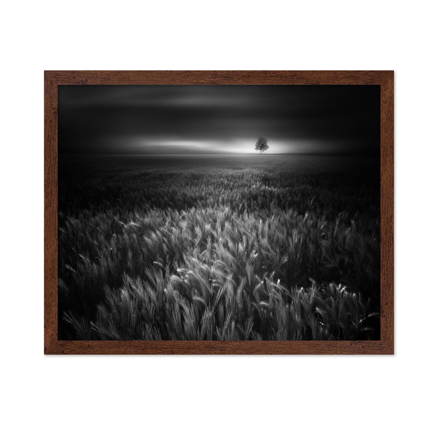 Bucolic Sunrises