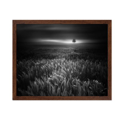 Bucolic Sunrises