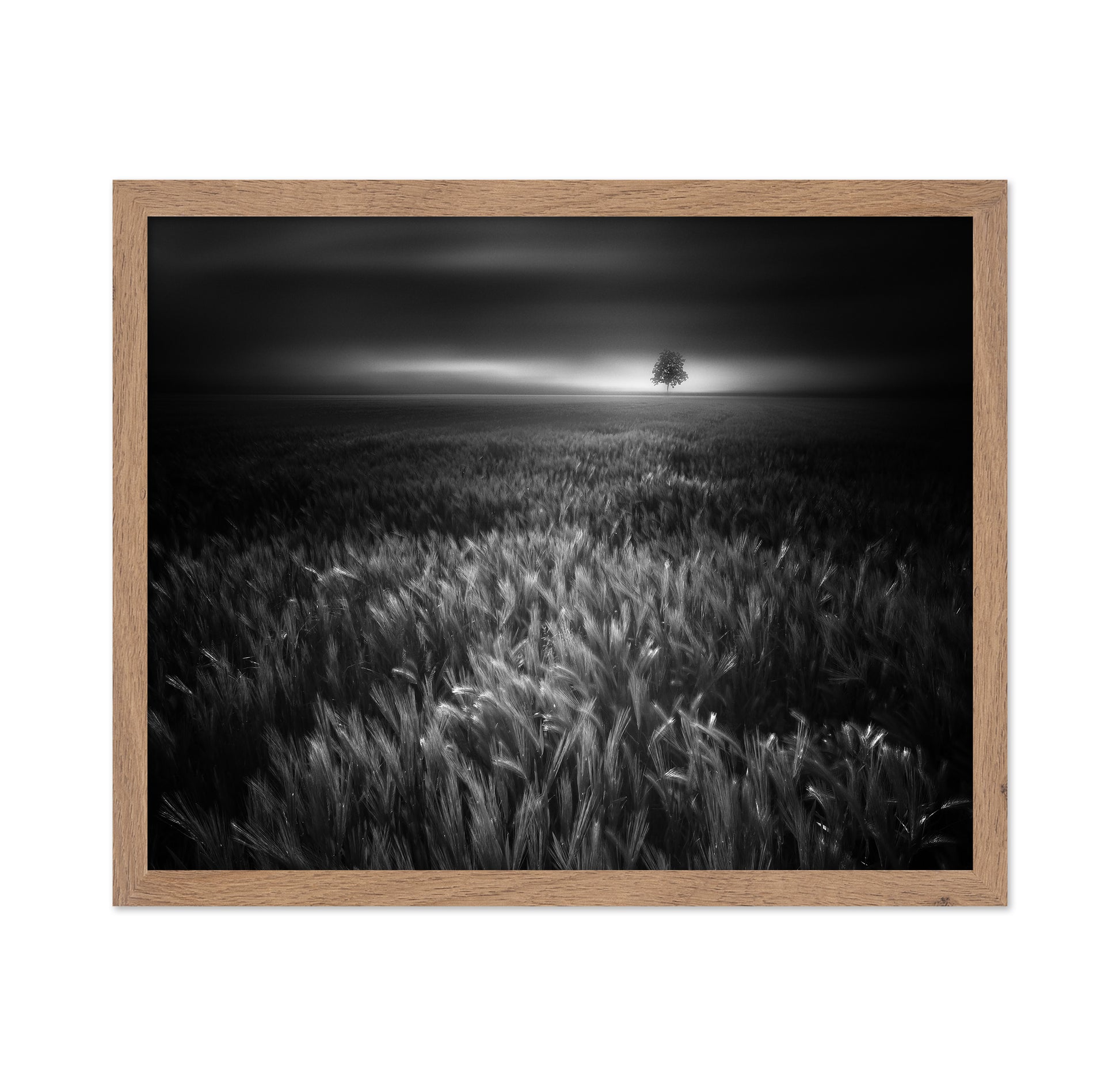 Bucolic Sunrises