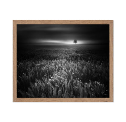 Bucolic Sunrises