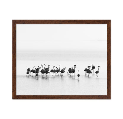 Monochrome Flamingos