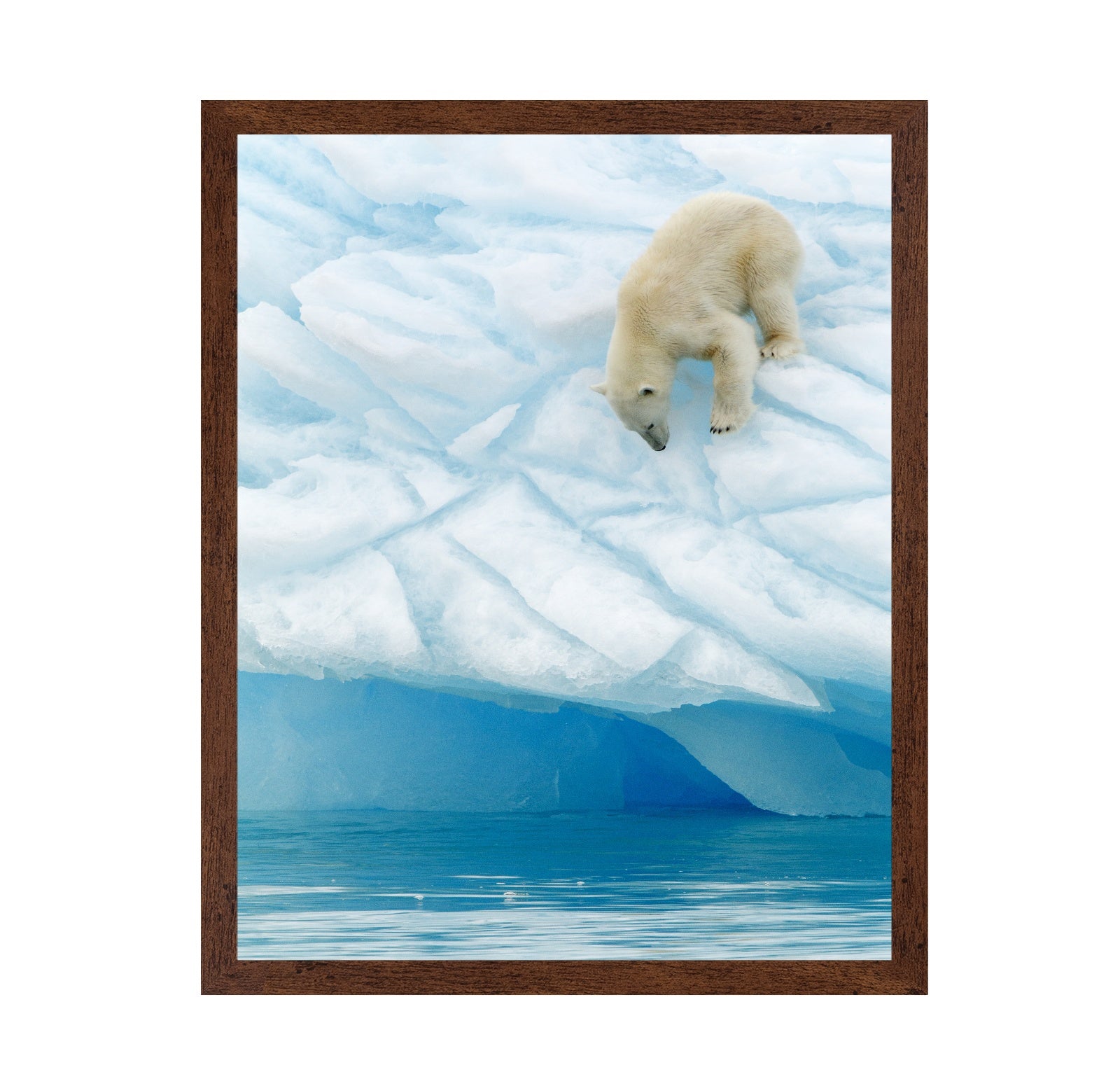 Polar Bear on the Edge